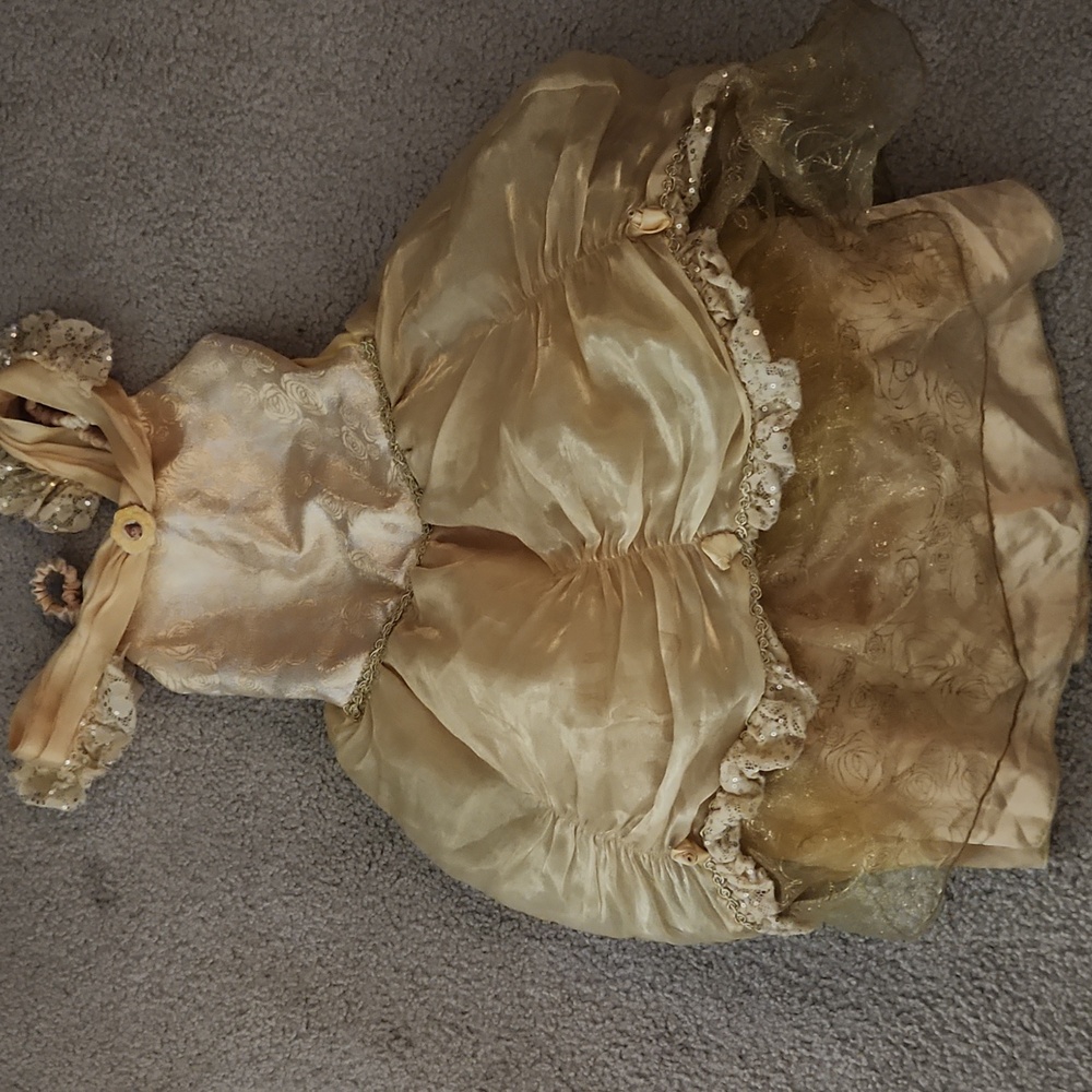 Disney princess Belle dress